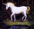 /album/resim-galerisi/unicorn-1-jpg/